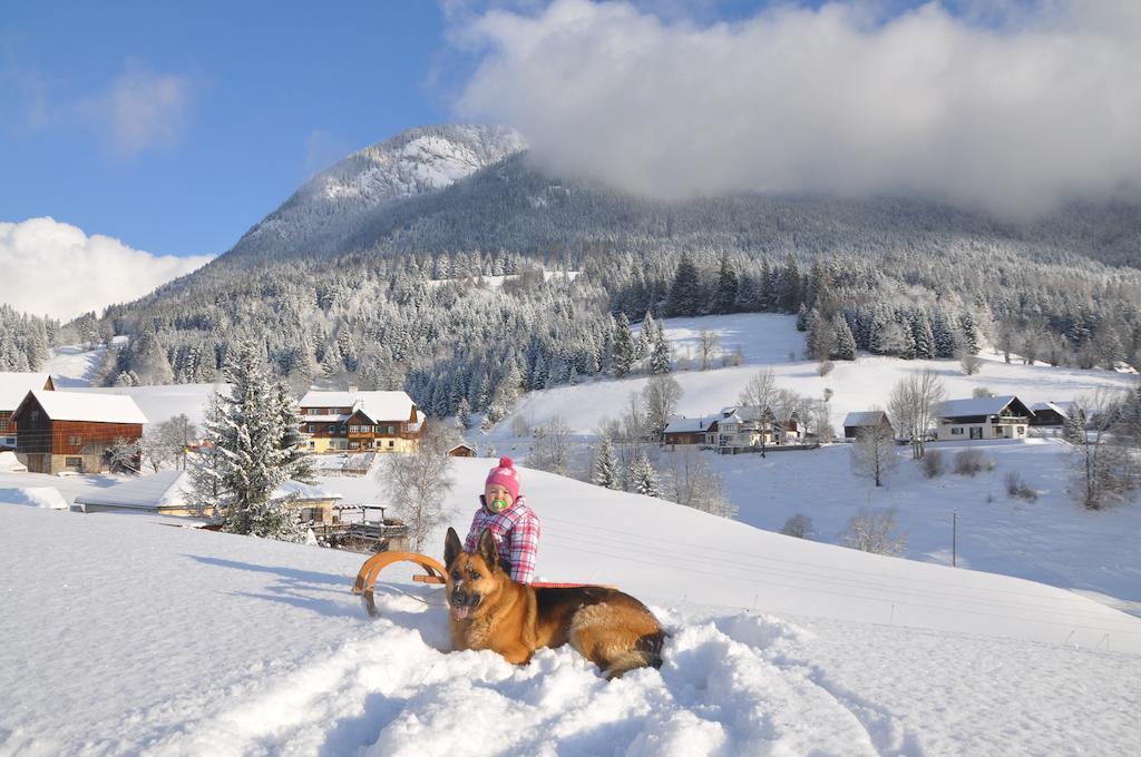 Bauernhof Haim-Schnepfleitner Pichl bei Aussee エクステリア 写真