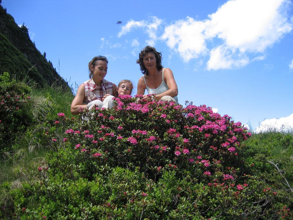 Bauernhof Haim-Schnepfleitner Pichl bei Aussee エクステリア 写真
