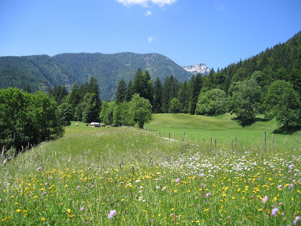 Bauernhof Haim-Schnepfleitner Pichl bei Aussee エクステリア 写真
