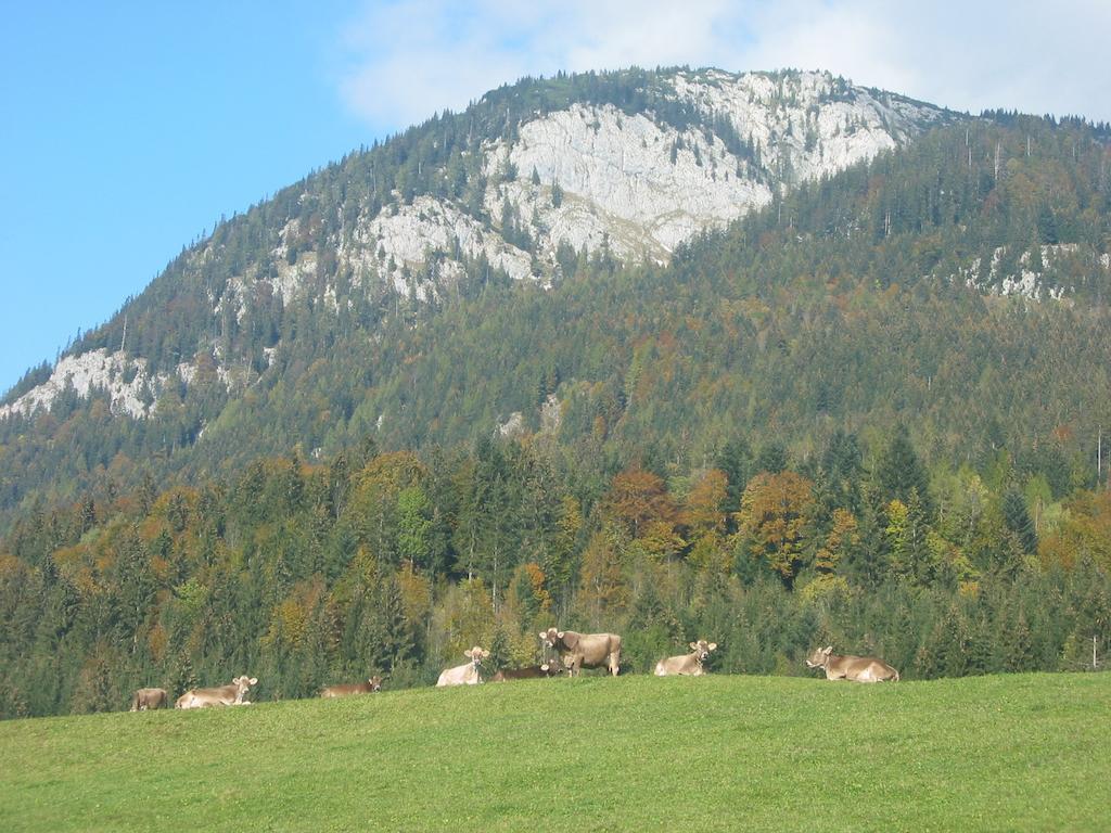 Bauernhof Haim-Schnepfleitner Pichl bei Aussee エクステリア 写真